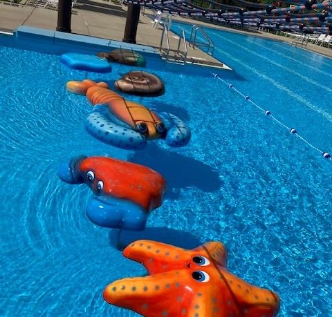 Brightly colored commercial aquatic floatables arranged in a pool