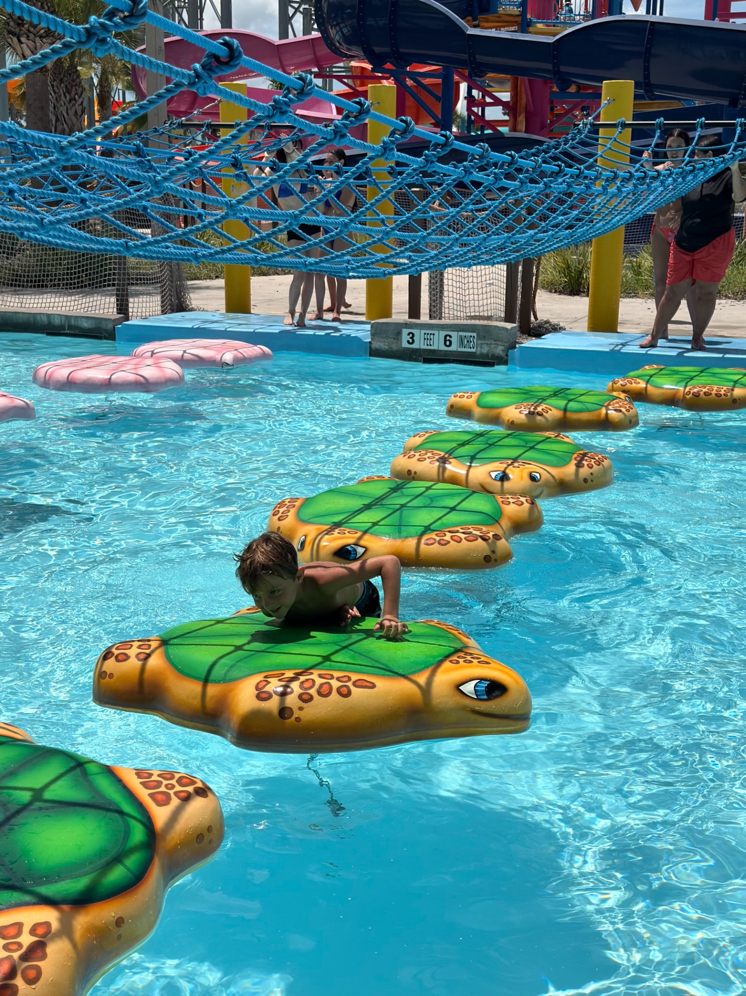 Sea turtle Water-Walk element positioned in a shallow pool